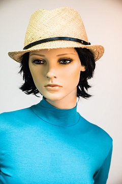 Изображения VI&SE 17-MD-80