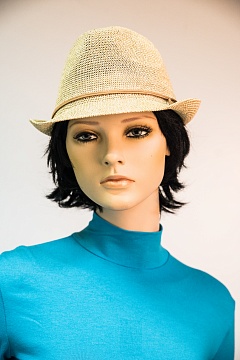 Изображения VI&SE 17-MD-72