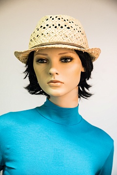 Изображения VI&SE 17-MD-79